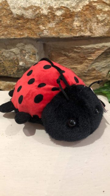 ladybird cuddly toy