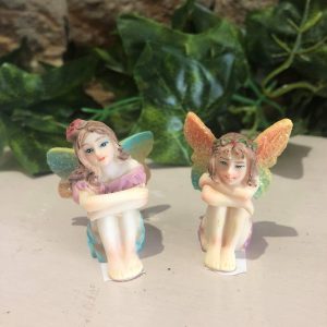Garden Fairy Glitter Wings - Rainbow