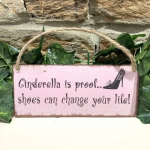 Cinderella Is Proof Shoes Can Change Your Life Miniature Metal Plaque
