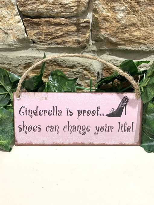 Cinderella Is Proof Shoes Can Change Your Life Miniature Metal Plaque