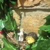 Handmade Christmas Wreath Woodland Animals - Image 2