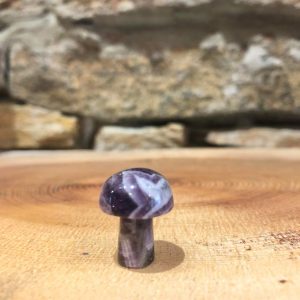 Miniature Mushroom Crystal Amethyst 2cm