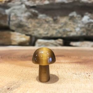 Miniature Mushroom Crystal Tiger Eye 2cm