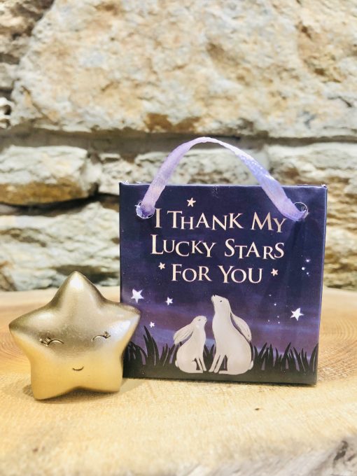 Lucky Little Golden Star in Bag