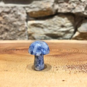 Crystal Mushroom Sodalite