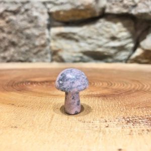 Crystal Mushroom Rhodonite
