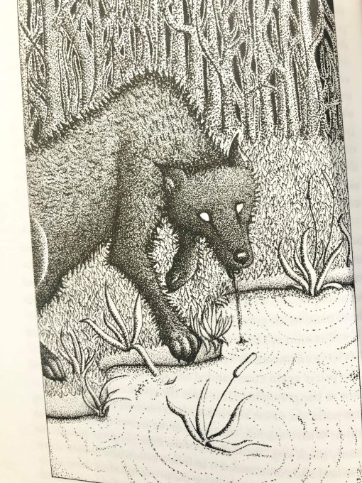 Dark Folklore Book - Image 4
