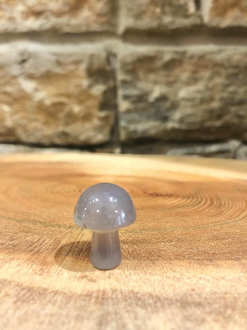 Crystal Mushroom Grey Agate