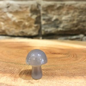 Crystal Mushroom Grey Agate