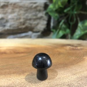 Miniature Mushroom Crystal Obsidian