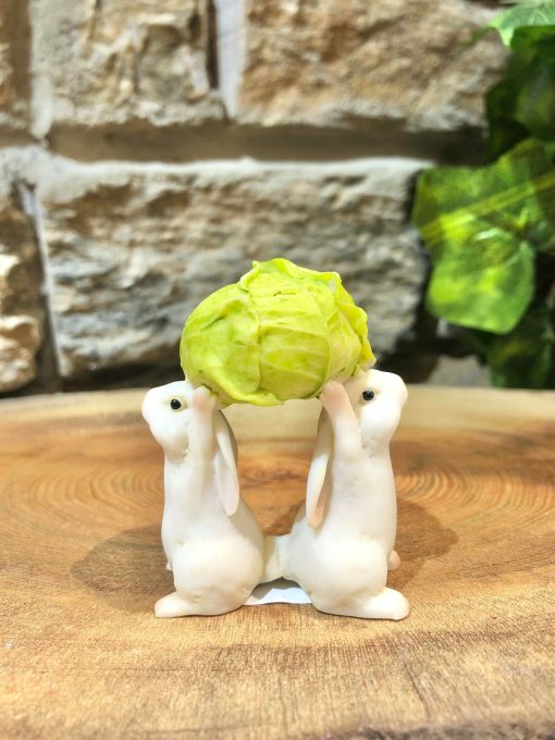 Little Bunny Duo Carrying Cabbage