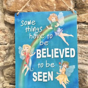 Some Things Have To Be Seen Fairy Metal Sign