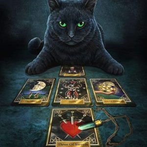 Black Cat & Tarot