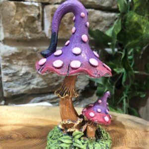 Funky Toadstool Purple And Pink