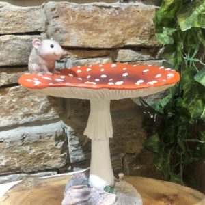 Field Mouse Toadstool Bird Bath