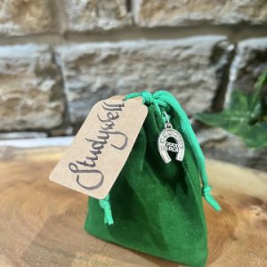 Mojo Crystal Chip Bag Study Aid