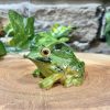 Ceramic Frog Ornament
