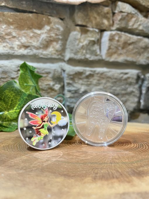 Tooth Fairy Coin Silver