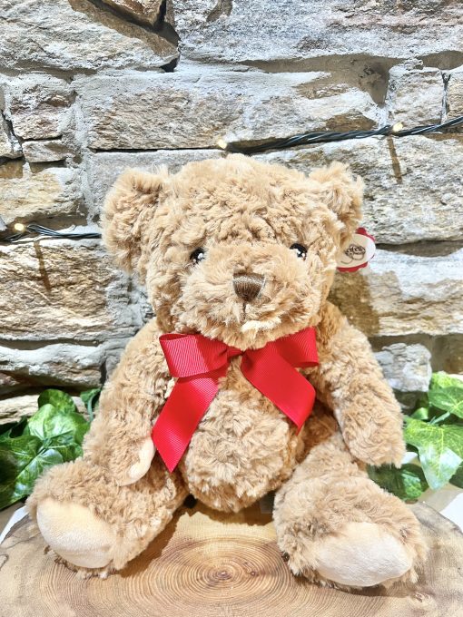 Large Brown Teddy Bear Plushy