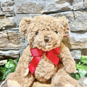 Large Brown Teddy Bear Plushy