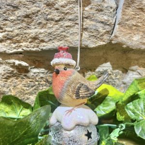 Robin On Bell Bauble Hanger Santa Hat