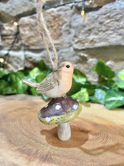 Robin on Flat Toadstool Hanger