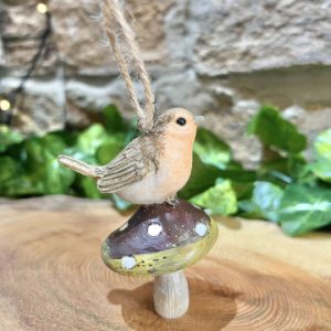 Robin on Flat Toadstool Hanger