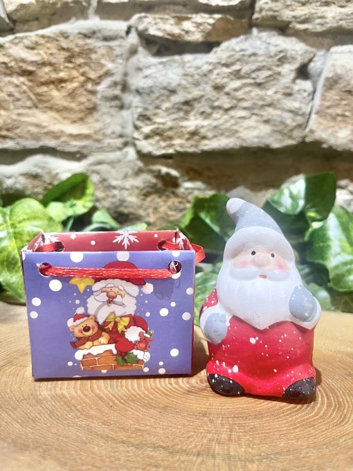 Santa In Bag