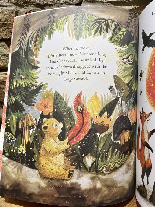 The Magic Feather Story Book - Image 2