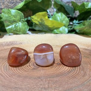 Carnelian Crystal Tumble 2cm