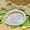 Abalone Shell Smudge Bowl