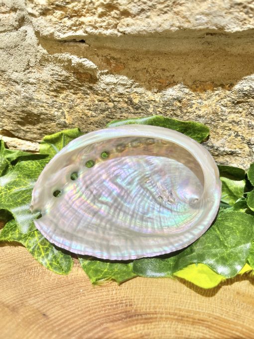 Abalone Shell Smudge Bowl