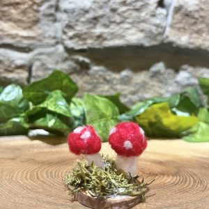 Hand Made Miniature Mushroom Patch