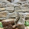 Squirrel With Acorn Trailer Bird Feeder