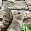 Squirrel With Acorn Trailer Bird Feeder - Image 3
