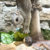 Toadstool Squirrel Bird Bath - Image 3