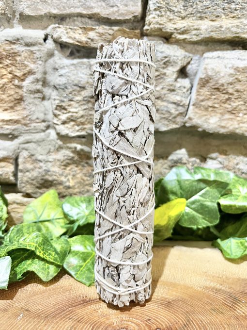 White Sage Smudge Stick 15cm - Image 2
