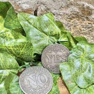 Yes No Oracle Coin Large