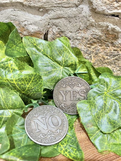 Yes No Oracle Coin Large