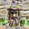 Wizard Tree Ent Bird House Feeder