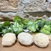 Crack Your Own Quartz Crystal Geode