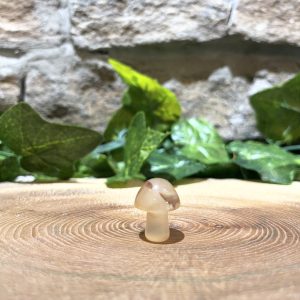 Carnelian Mini Mushroom Crystal