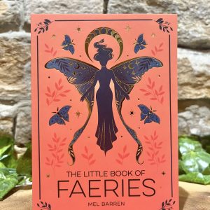 Little Book of Faeries