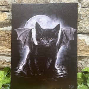 Little Vampire Kitty Canvas