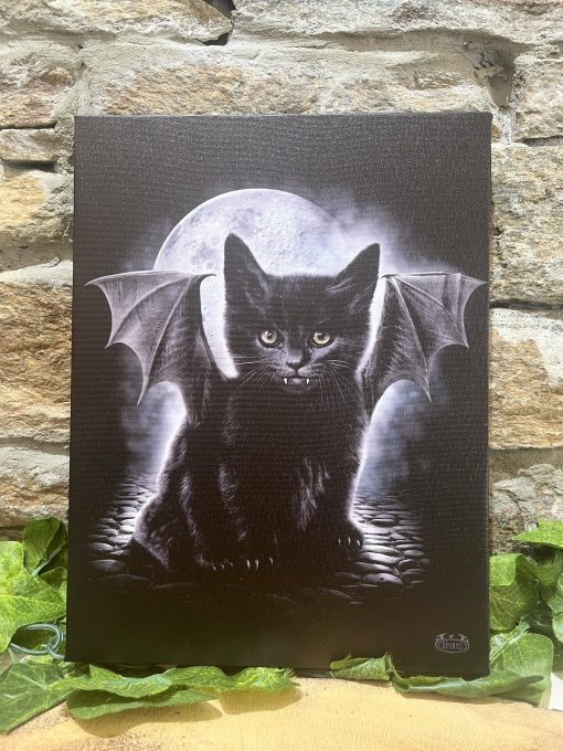 Little Vampire Kitty Canvas