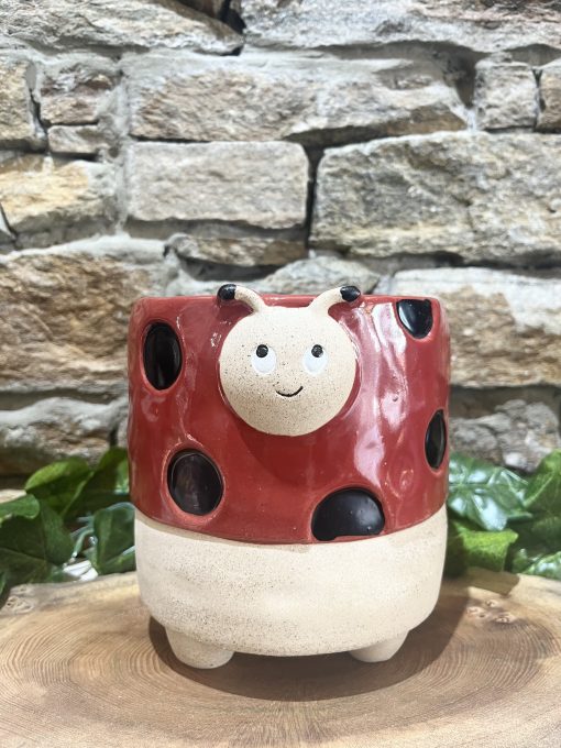 Pot Pals Ladybird Planter Large