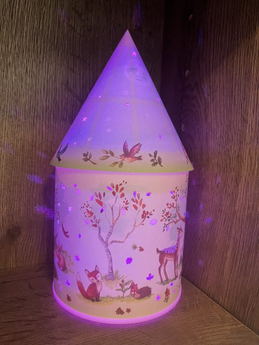 Woodland Friends LED Colour Change Lantern - Image 3