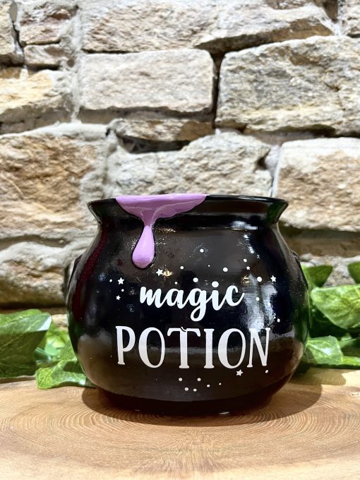 Magic Potion Cauldron Money Bank