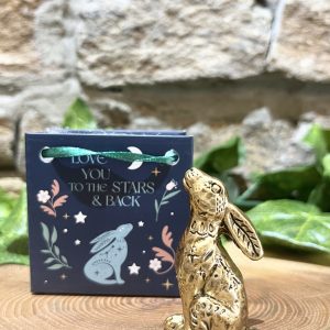 Lucky Midnight Hare In Bag