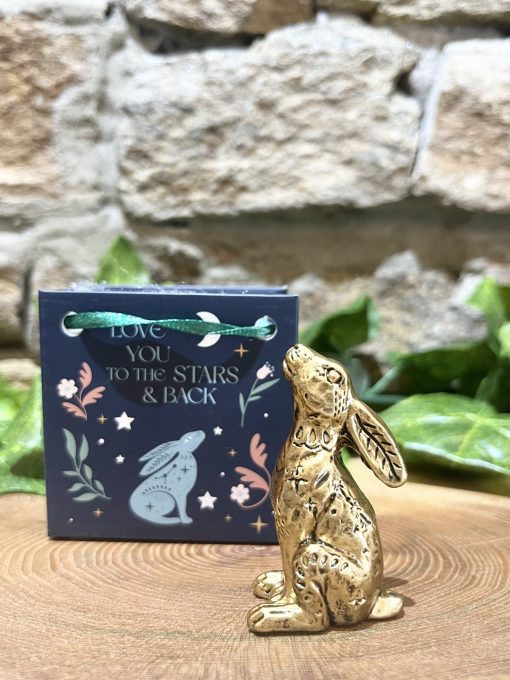 Lucky Midnight Hare In Bag